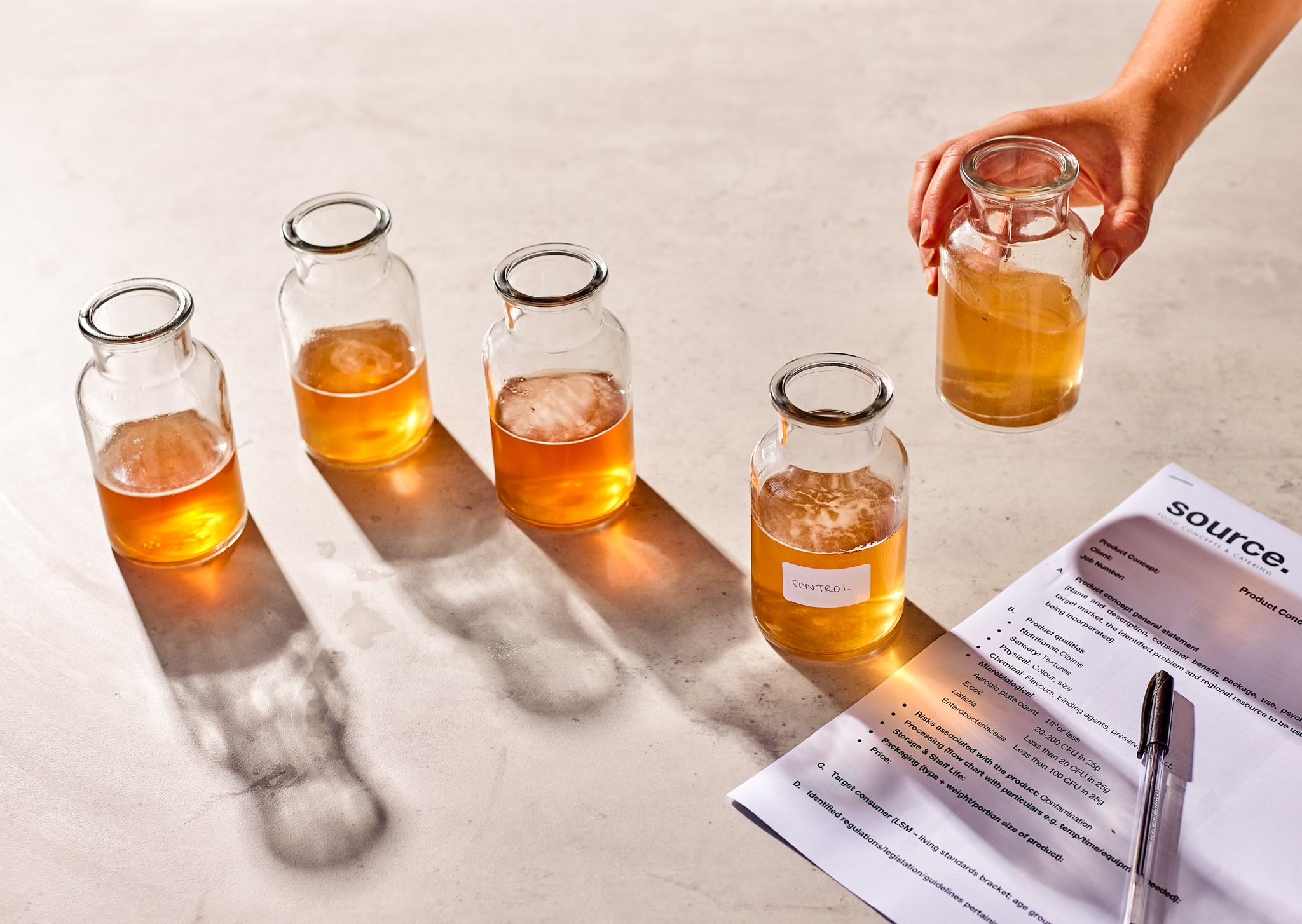 Source Food Formulation & Prototype Development