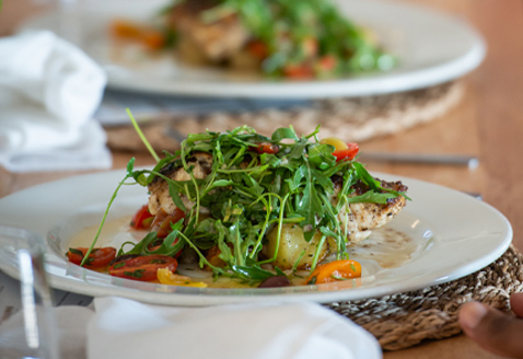 Corporate Catering and Branded Experiences